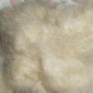 跨境淘货源微供天然枕头填充物香蒲绒 植物工艺品絮状蒲棒 蒲绒