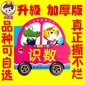 **益智儿童图书早教书赠品宝宝撕不烂的启蒙彩色撕不破教育